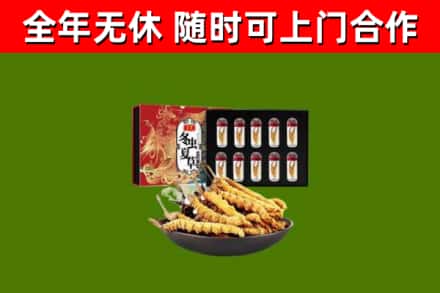 长宁回收冬虫夏草价格